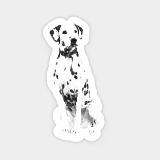 Dalmatian dog Sticker